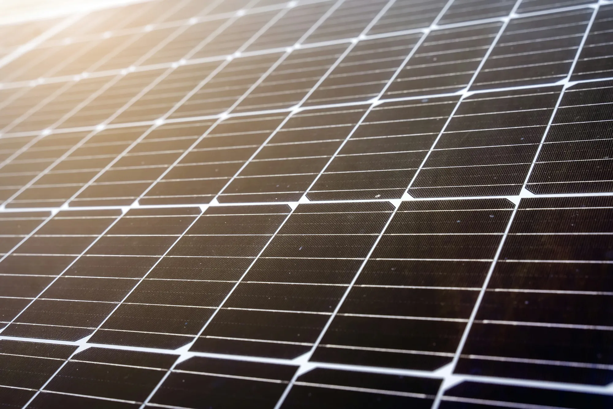 Close-up of solar cells and silver busbars in warm light